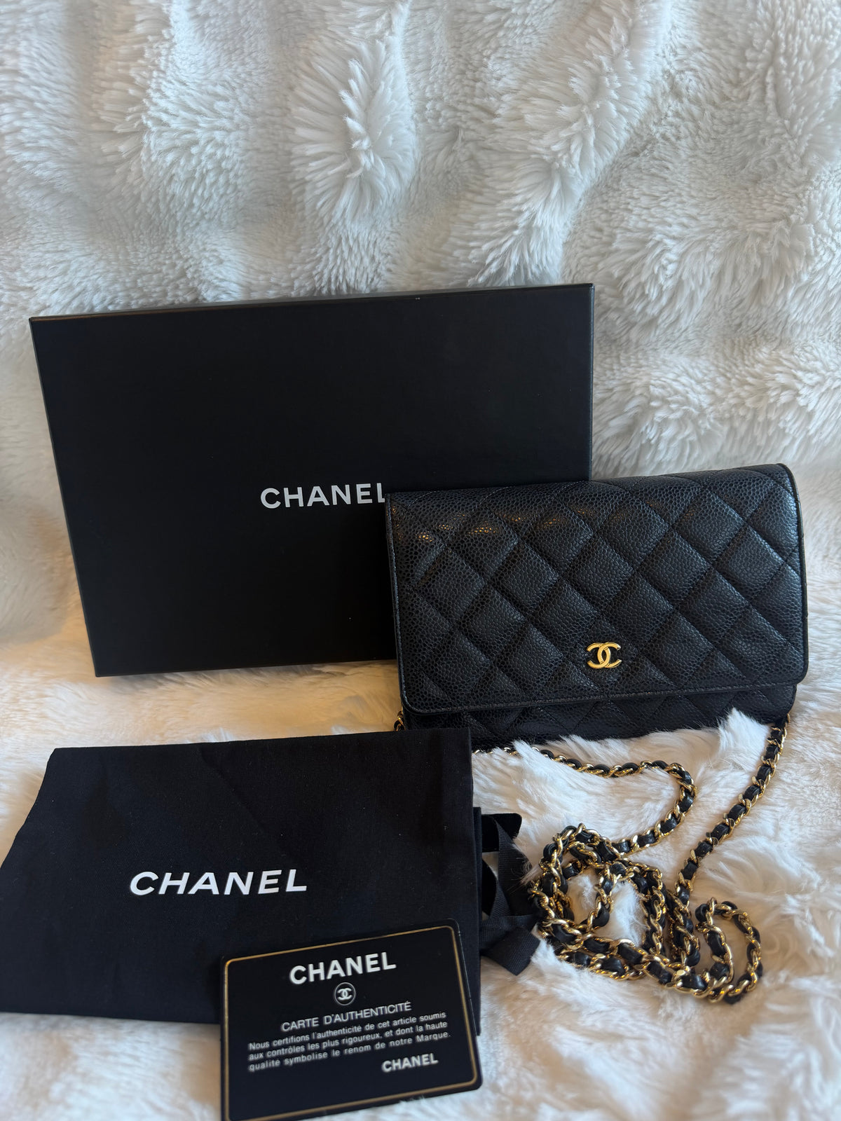 Chanel Classic Wallet on Chain in Caviar Leather GHW Series 24 (2018)